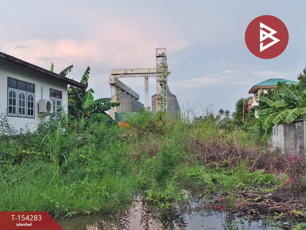 ขายที่ดิน เนื้อที่ 1 งาน 61.4 ตร.วา นครชัยศรี นครปฐม