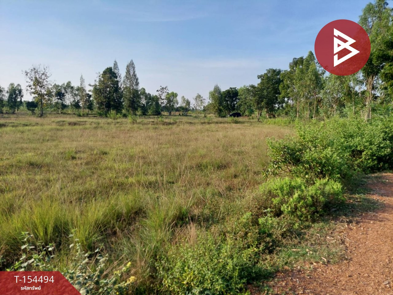 ขายที่ดินเปล่า 16 ไร่ 2 งาน 39.2 ตร.วา ต.อ่างหิน อ.ปากท่อ จ.ราชบุรี ติดคลองส่งน้ำ