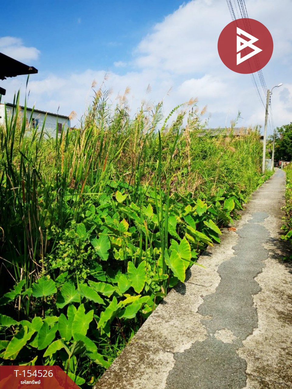 ขายที่ดิน เนื้อที่ 50 ตร.วา บางกร่าง นนทบุรี