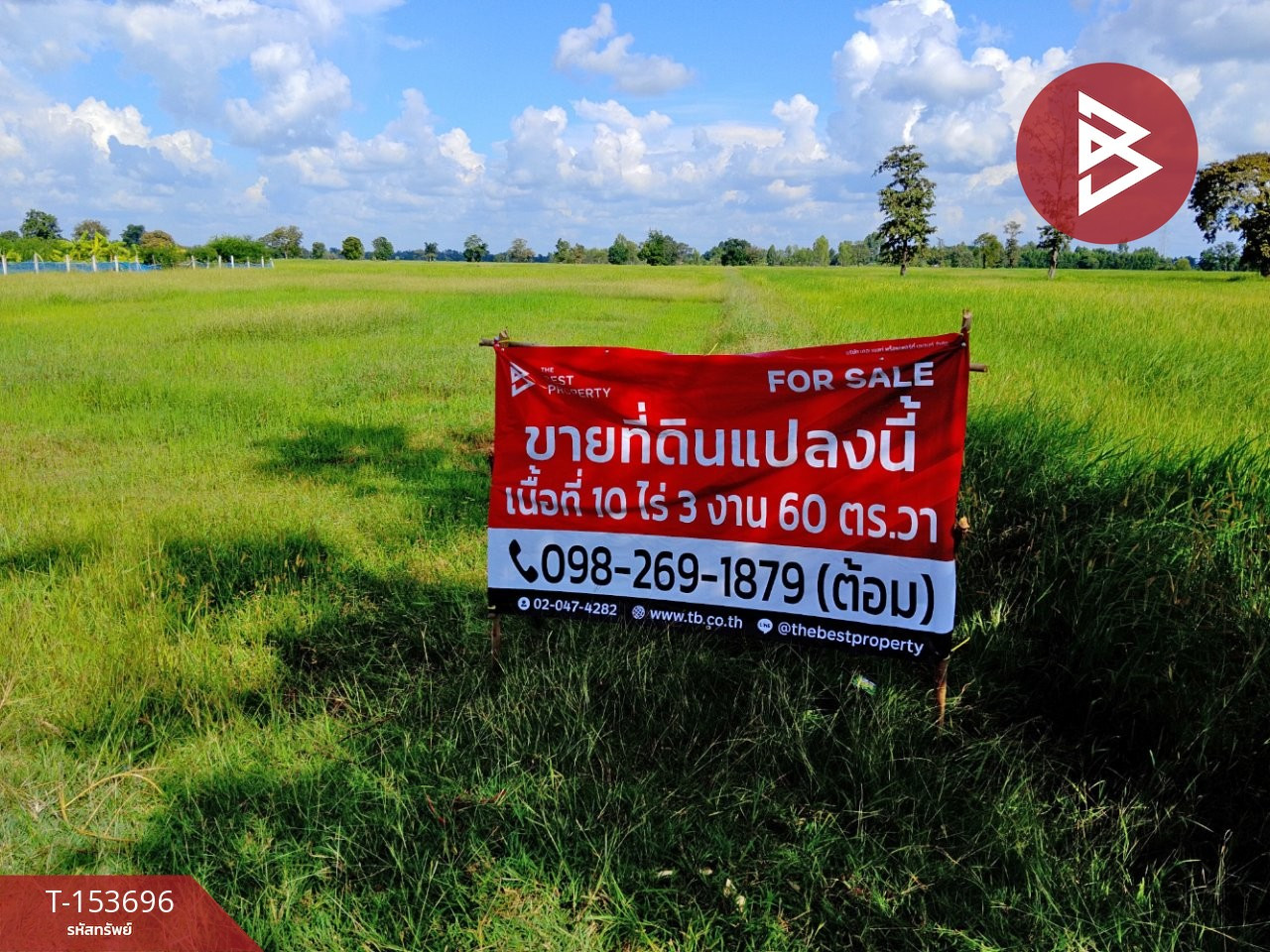 ขายที่ดิน เนื้อที่ 10 ไร่ 3 งาน 60 ตร.วา ห้วยราช บุรีรัมย์