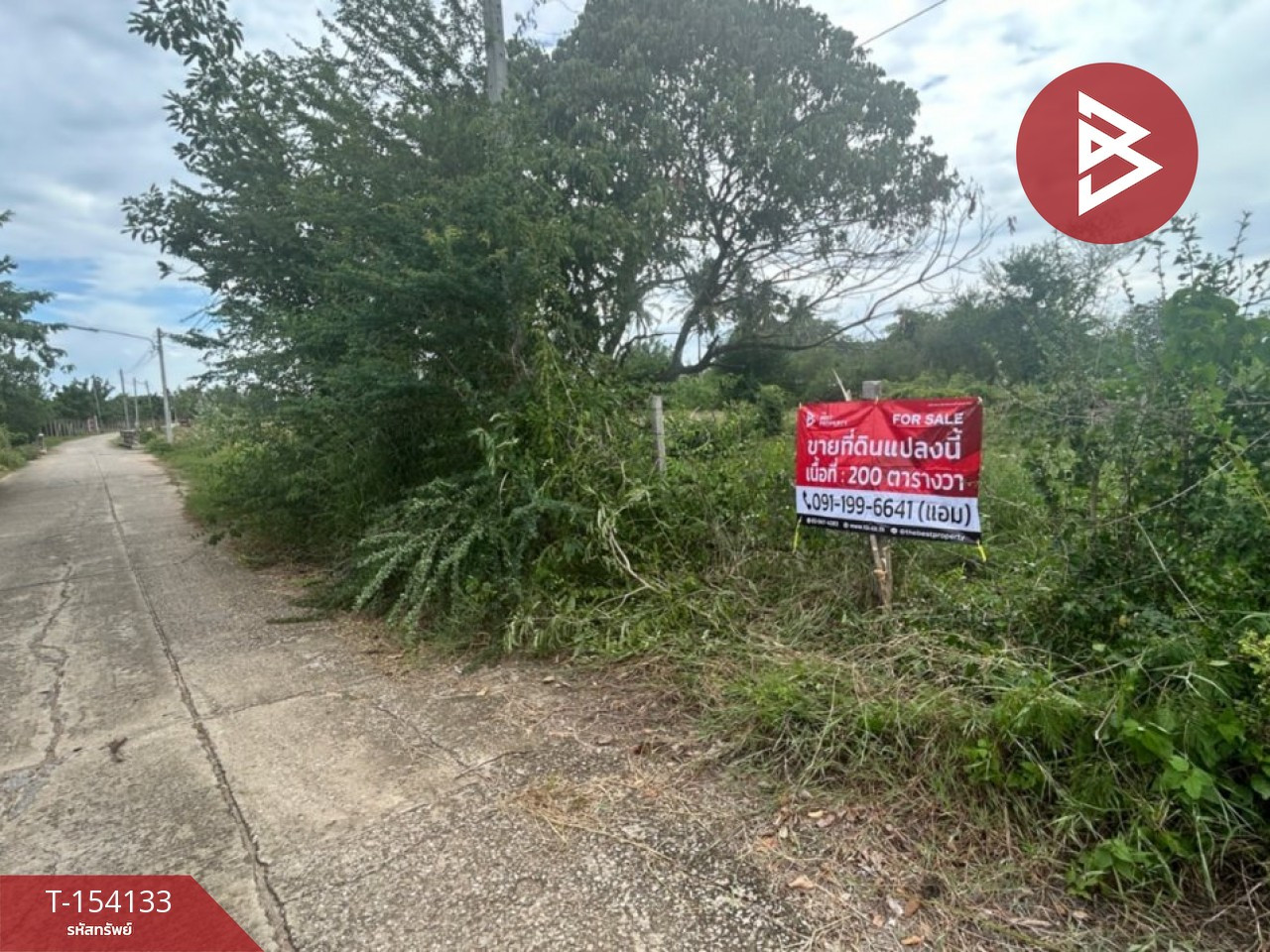 ขายที่ดิน เนื้อที่ 2 งาน โพธาราม ราชบุรี