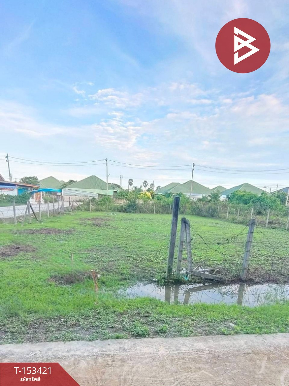 ขายที่ดิน เนื้อที่ 1 งาน นาวุ้ง เพชรบุรี