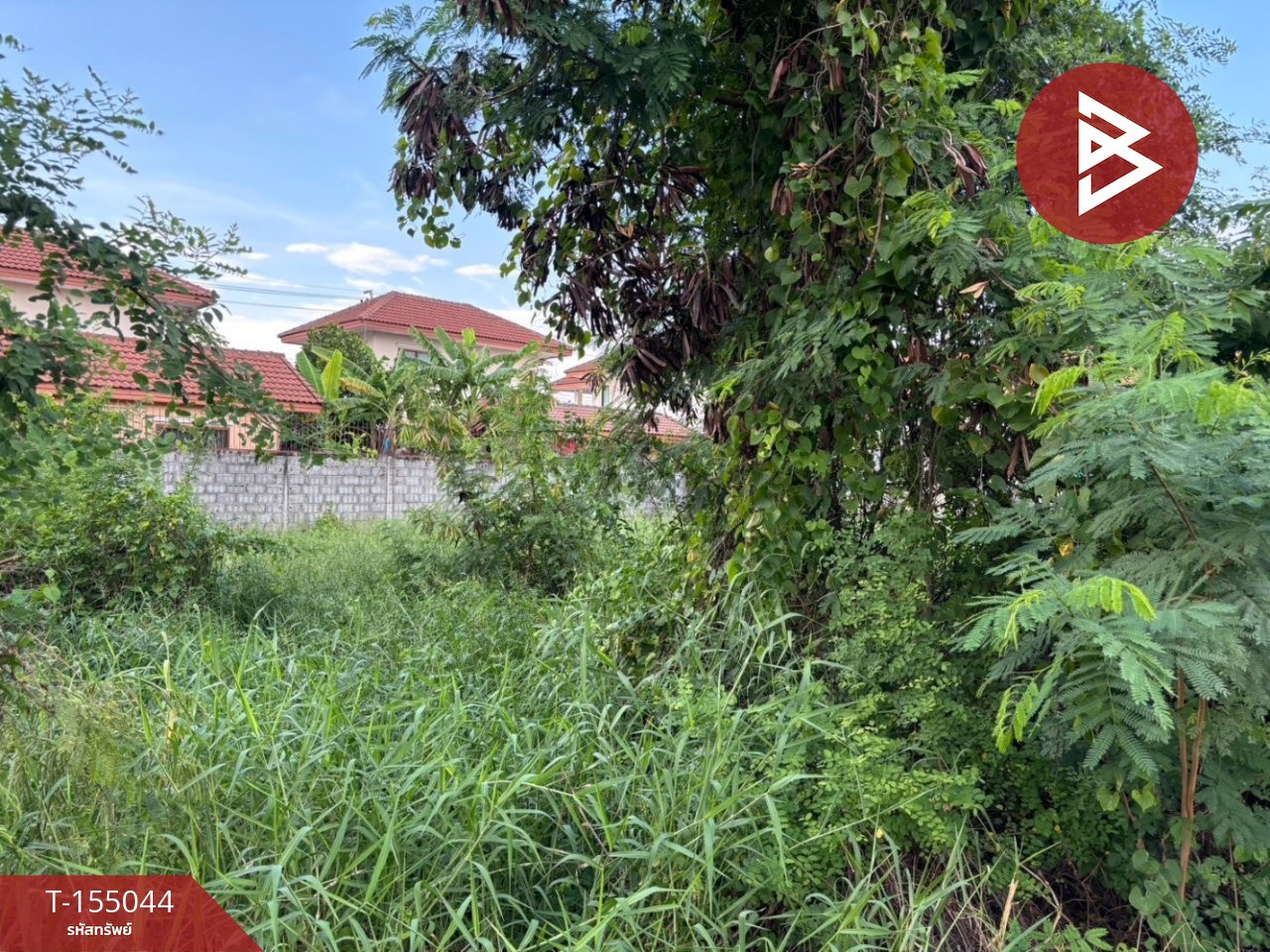 ขายที่ดินแปลงสวย เนื้อที่ 63 ตร.วา ซอยลำโพ 41 นนทบุรี ทำเลดี