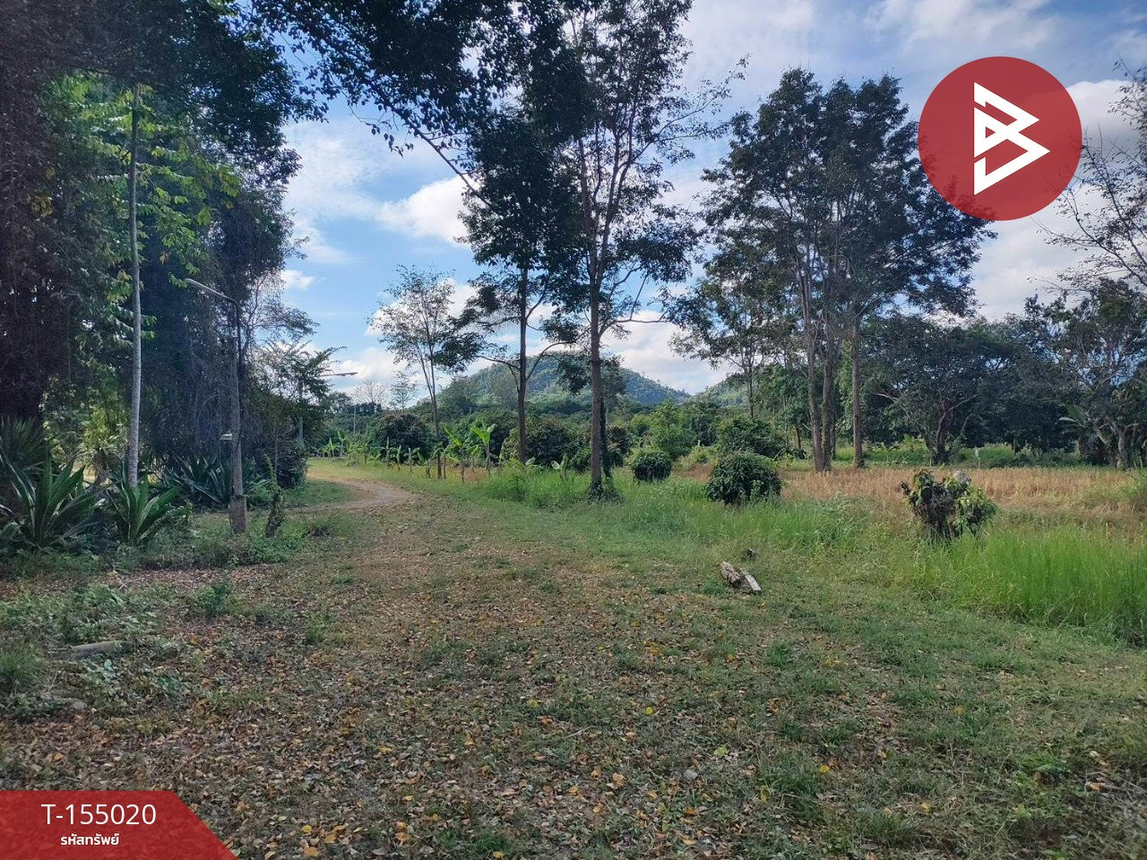 ขายที่ดิน เนื้อที่ 23 ไร่ 3 งาน 47 ตร.วา สอยดาว จันทบุรี