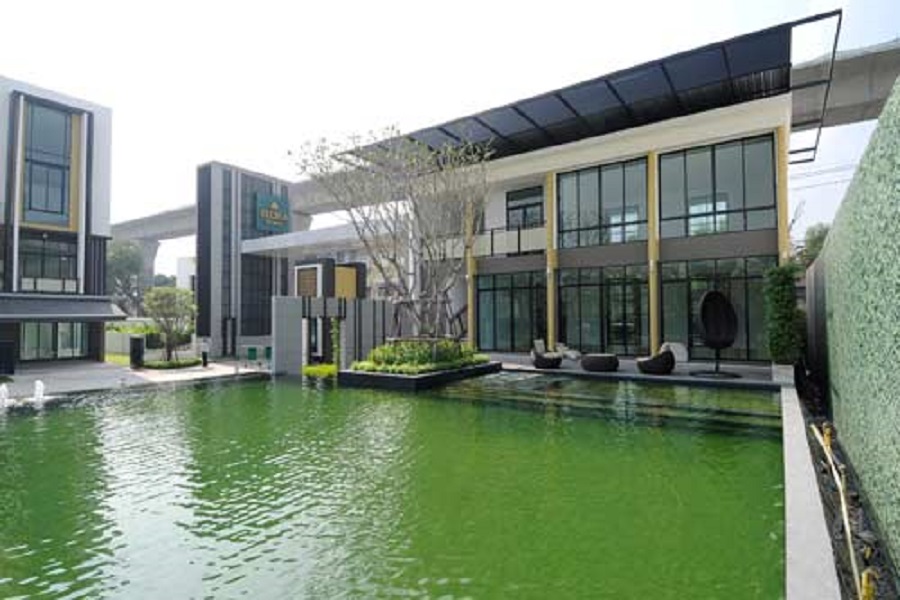 ฟลอร่า-วงศ์สว่าง