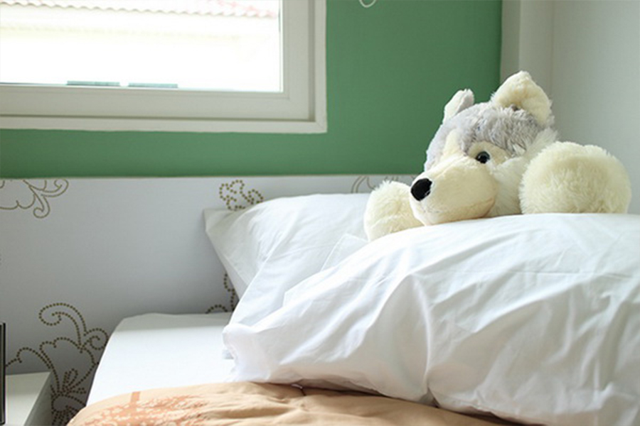 ศุภาลัย-วิลล์-รังสิต-คลอง-2